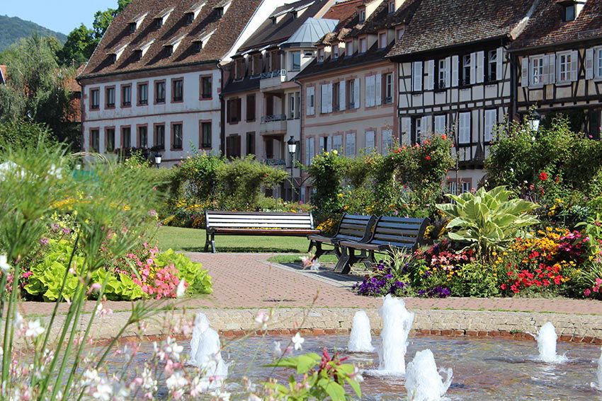 Haus Am Kastanienwald Das Elsaß